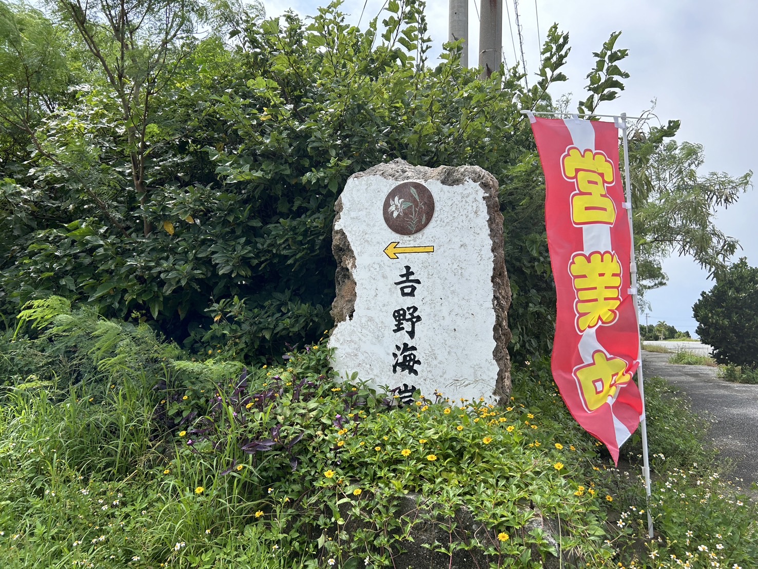 吉野海岸