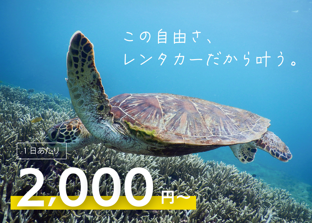 宮古島の格安レンタカー ミヤクティブレンタカー